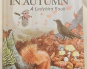Ladybird What To Look For In Autumn Series 536