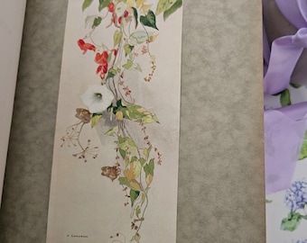 1929 Where the Bee Sucks - A Book of Flowers Poems / With Twelve Botanical Colour Plates / The Medici Society, London / Good Condition