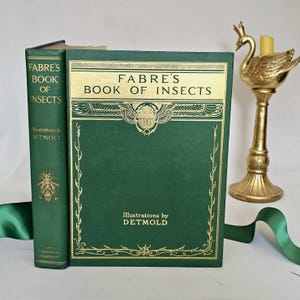 1935 Fabre&#39;s Book of Insects by Mrs R Stawell / Tudor Publishing Company, New York / Wonderful Colour Illustrations by Detmold