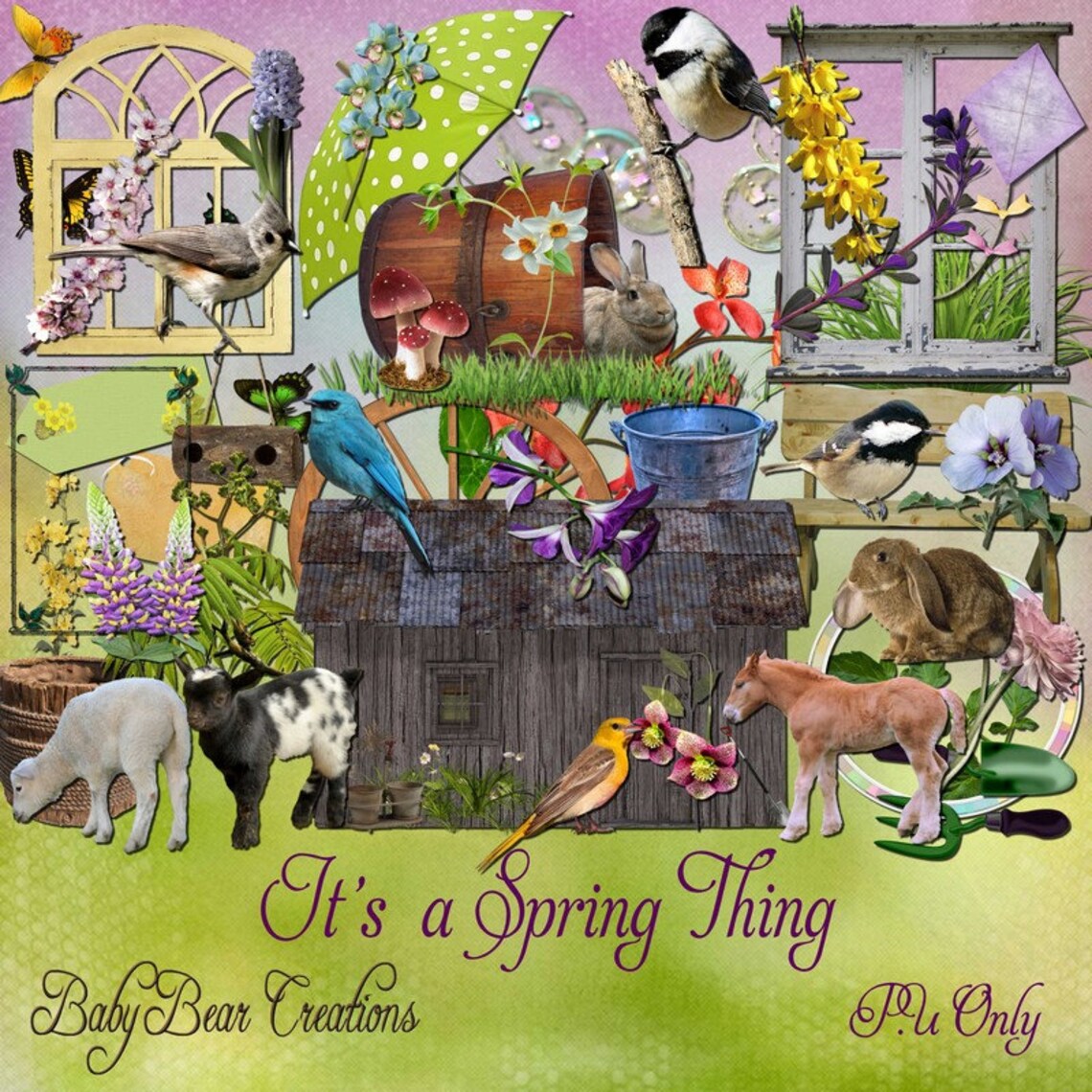 It's A Spring Thing Etsy