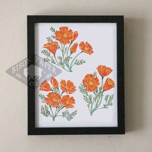 8x10 California Poppy Print, white bold digital print