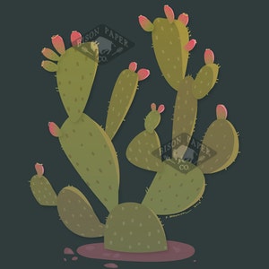 Modern Illustration Desert Prickly Pear Cactus Art Print image 4