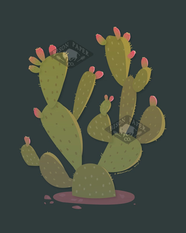 Modern Illustration Desert Prickly Pear Cactus Art Print image 4