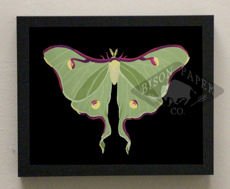 Luna Moth Gouache Painting Print 8x10 - Etsy