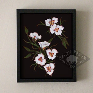 8x10 Sego Lily Print, Utah State Flower Artwork Bild 1