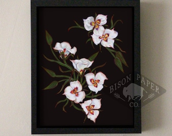 8x10 Sego Lily Print, Utah State Flower Artwork