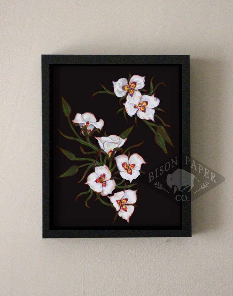 8x10 Sego Lily Print, Utah State Flower Artwork imagen 1