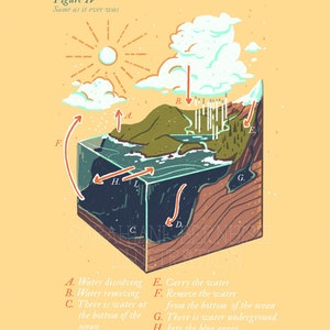 May include: A colorful illustration depicting the water cycle. The image shows the sun, clouds, rain, a mountain, an ocean, and the earth. The water cycle is labeled with letters and descriptions, including "Water dissolving", "Water removing", "There is water at the bottom of the ocean", "Under the water", "Carry the water", "Remove the water from the bottom of the ocean", "There is water underground", "Into the blue again", and "Into the silent water".