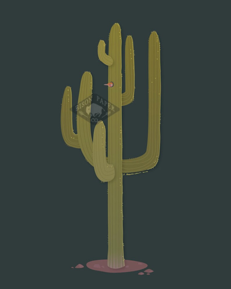 May include: A tall, green cactus with multiple arms, a small bird perched on one of the arms. The cactus is set against a dark green background.