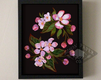 8x10 Apple Blossom Print, Arkansas State Flower