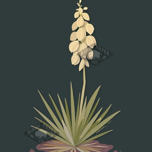 Modern Illustration Desert Blooming Yucca Art Print image 1