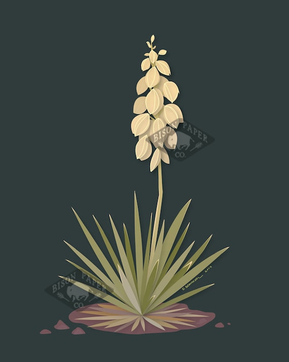 Modern Illustration Desert Blooming Yucca Art Print