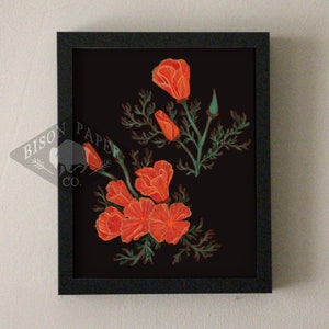 8x10 California Poppy Print, black bold digital print image 1