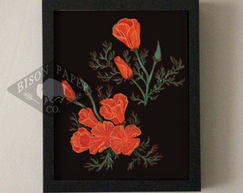 May include: A framed print of a botanical illustration featuring orange California poppies on a black background.
