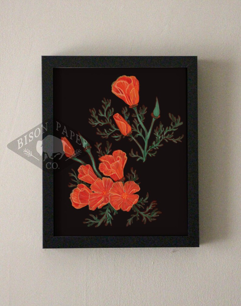 8x10 California Poppy Print, black bold digital print image 1