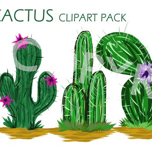 Paquete de imágenes prediseñadas de cactus dibujadas a mano, Ilustración de cactus, PNG, Flor de cactus, Arte de cactus, Dibujo de cactus, Cactus de dibujos animados, Diseño de uso comercial