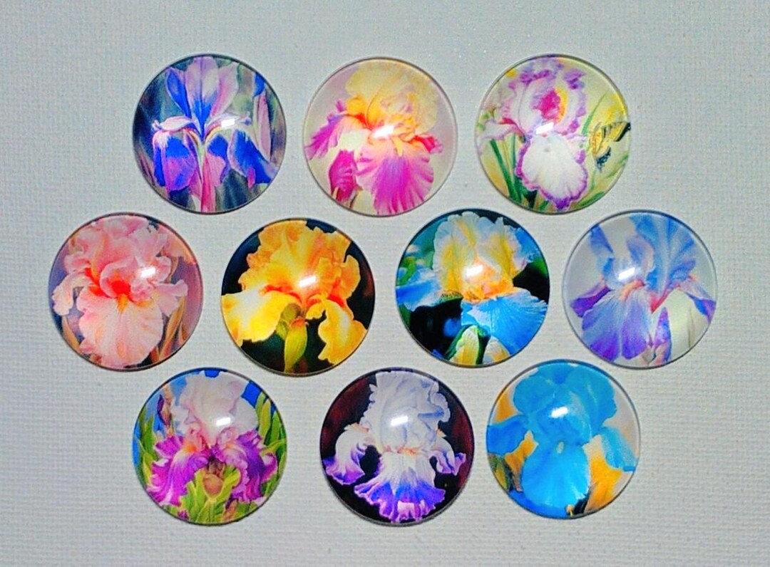 IRIS Magnets Set of 10 One Inch Round Glass Dome *purple Blue Pink ...