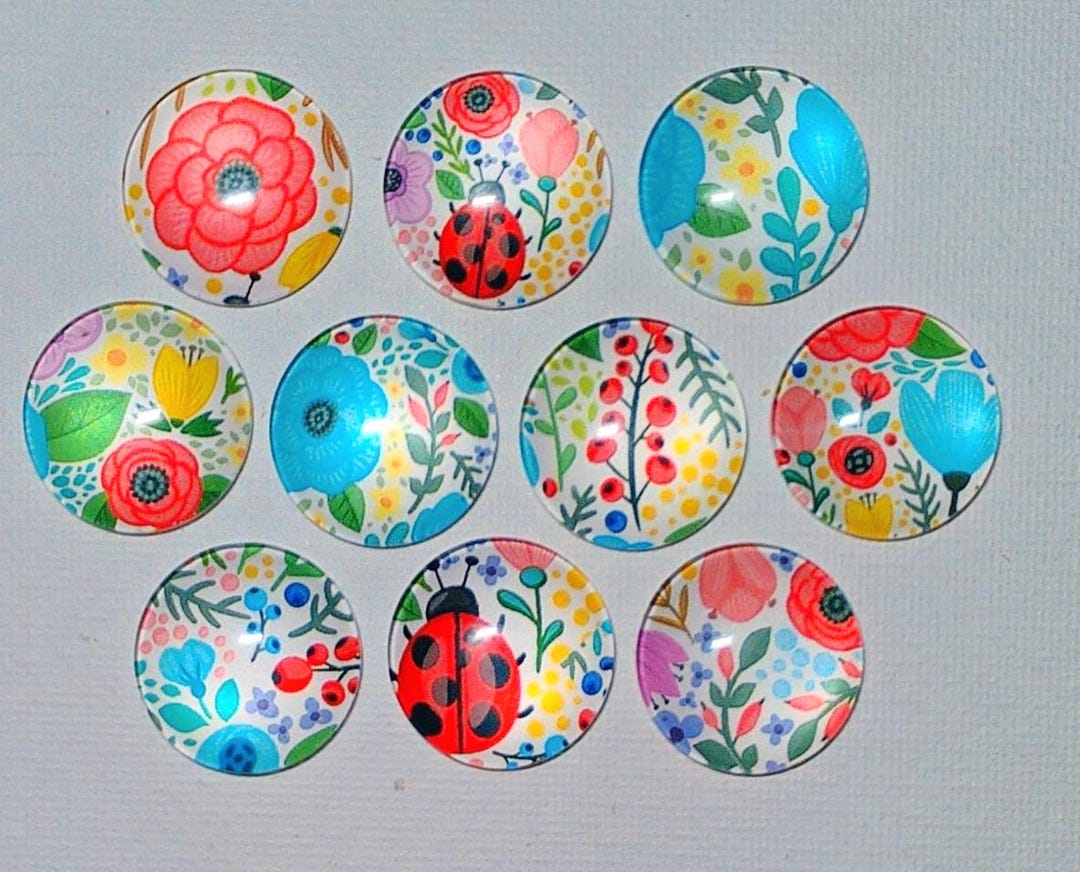 LADYBUG MAGNET SET of 10 One Inch Round Glass Dome - Etsy