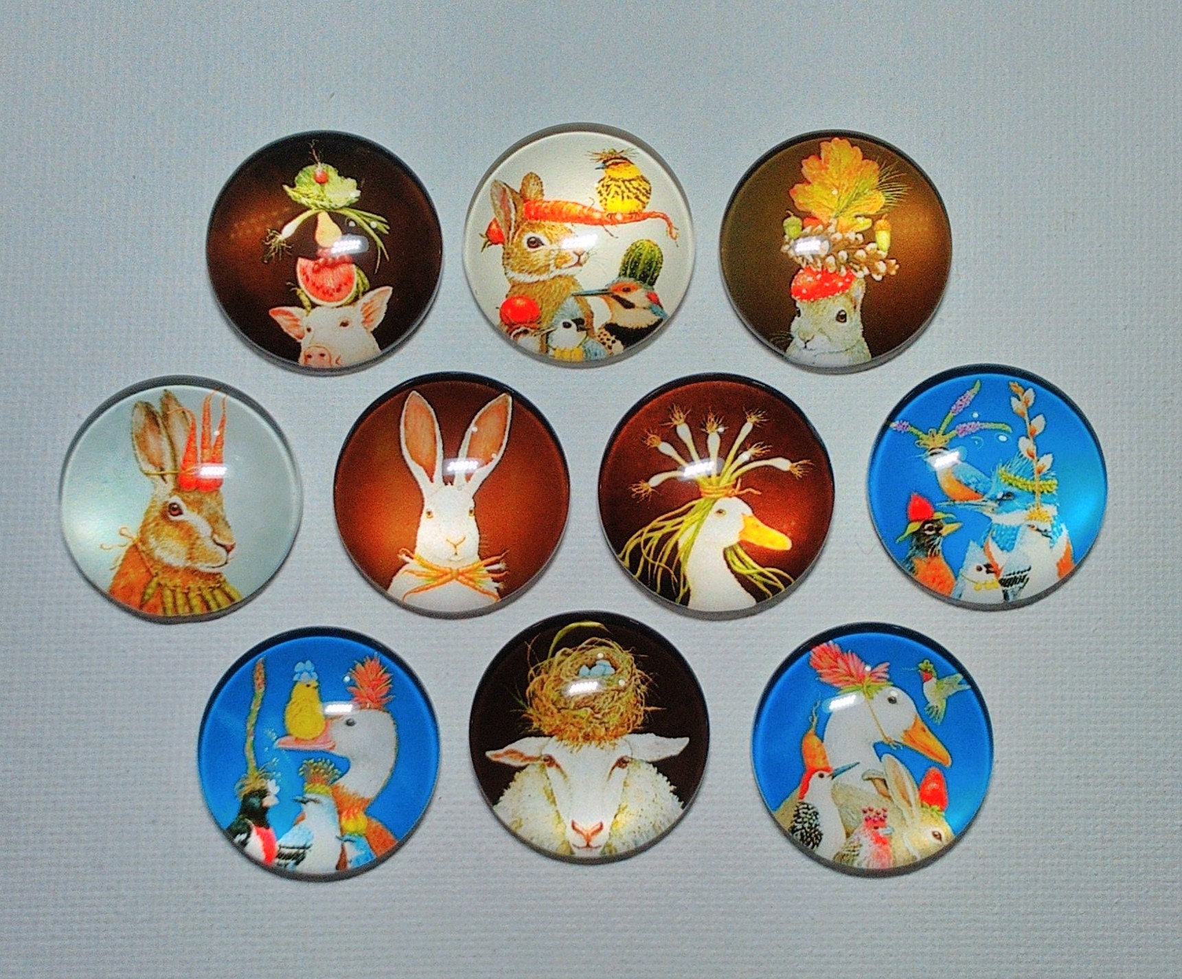 WHIMSICAL GARDEN ANIMAL Magnet Set of 10 One Inch Round Glass Dome - Etsy