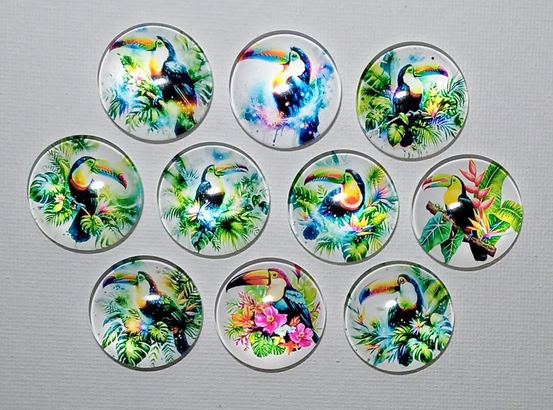 TOUCAN BIRDS MAGNET Set of 10 One Inch Round Glass Dome - Etsy
