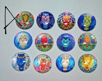 OWLS Magnet Set of 12 One Inch Round Glass Dome *Choose Set A or B* Owl Lover Gift