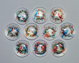 BIRDS FLOWERS WREATHS WaTERCOLORS Magnets Set of Ten One Inch Round Glass Dome Birthday Mom Friend Relative She Shed BiRDS WReATHS FLoWERS