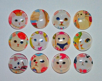 CAT MAGNETS Set of 12 One Inch Round Glass Dome