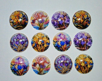 IRIS LOVER Magnets Set of 12 One Inch Round Glass Dome Purple and Yellow Gardens Nature Gift Mom Relative Friend Birthday Thank IRIS FLoWERS