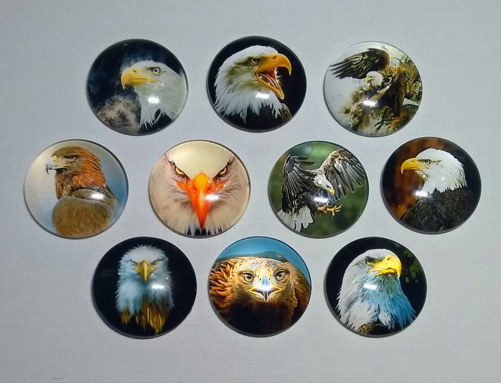 EAGLE Magnets Set of 10 One Inch Round Glass Dome *eagle Photos* - Etsy