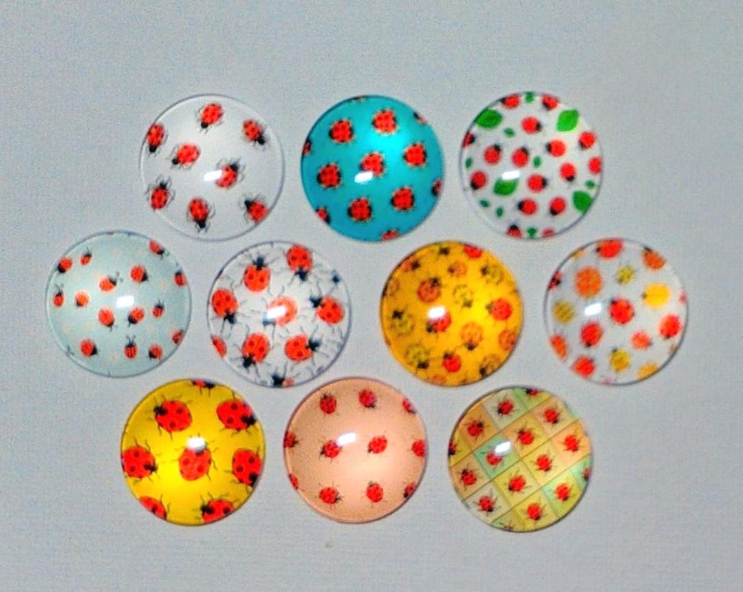 LADYBUG MAGNET SET of 10 One Inch Round Glass Dome - Etsy