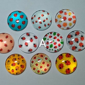 LADYBUG MAGNET SET of 10 One Inch Round Glass Dome *Choose Set A or B* Gift for Birthday Mom Friend Relative She Shed Thank LaDYBUGS FLoWERS