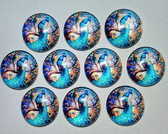 PEACOCK MaGNETS Set of Ten One Inch Round Glass Dome Peacock Plumes Feathers Birthday Mom Friend Relative Thanks *ALL SAME DeSIGN*