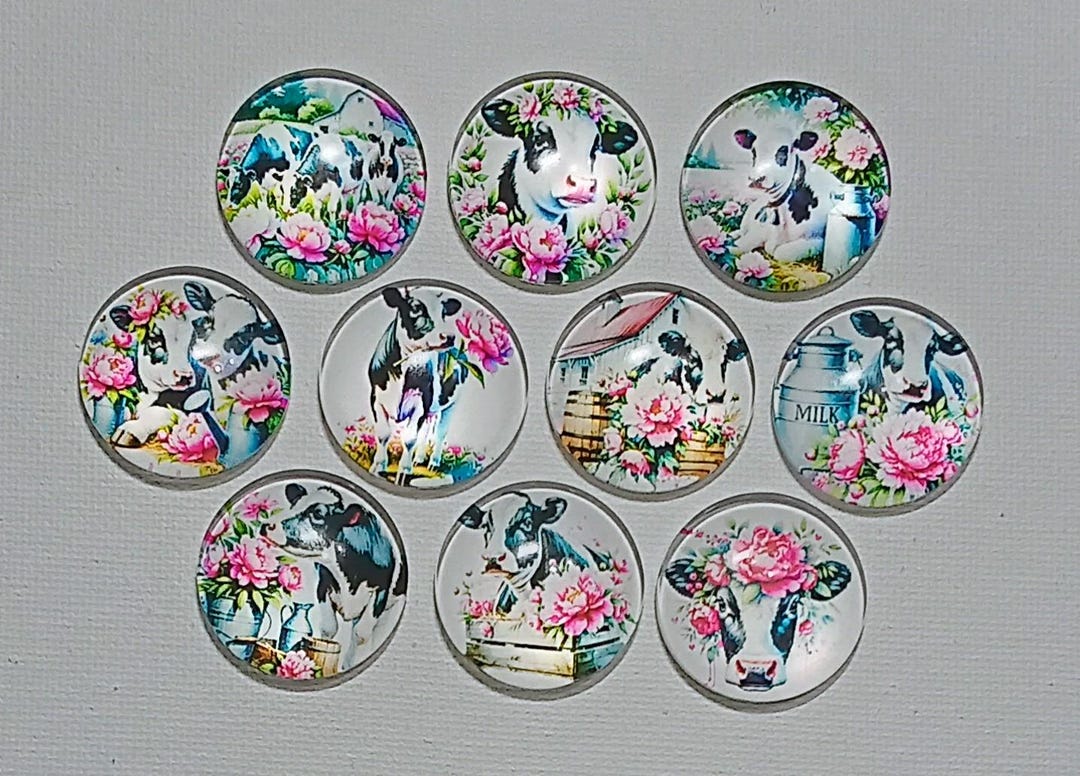 COWS Magnet Set of 10 One Inch Round Glass Dome *soft & Bright Images ...