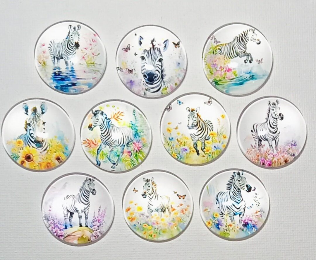 ZEBRAS MAGNET Set of Ten One Inch Round Glass Dome *soft and Bright ...