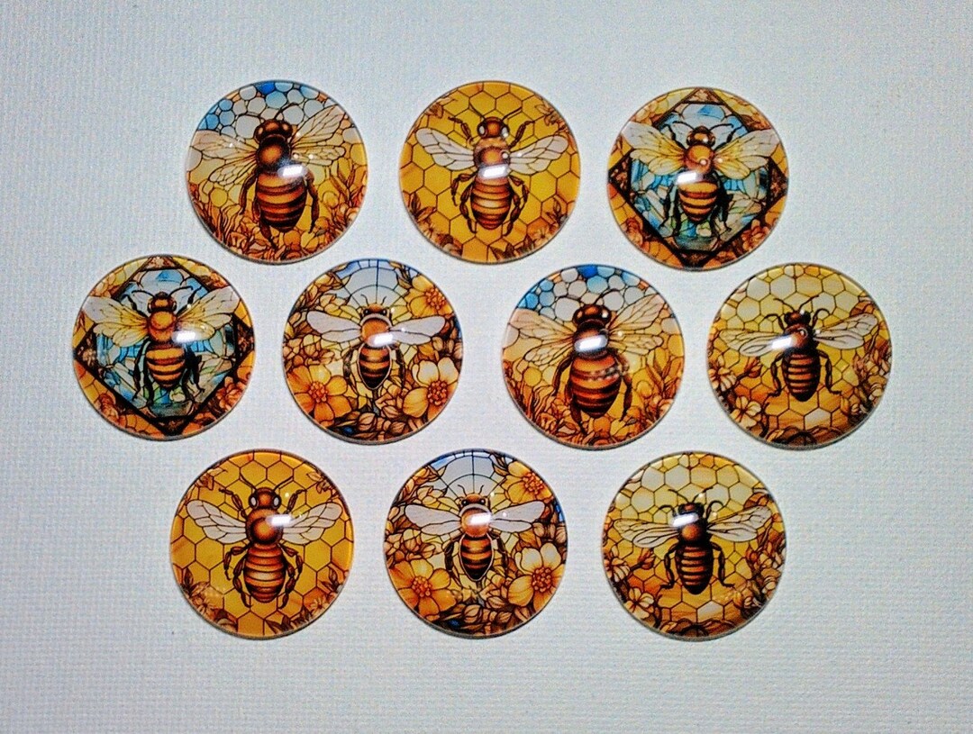BEES Magnets Set of 10 One Inch Round Glass Dome *two of Each Design ...