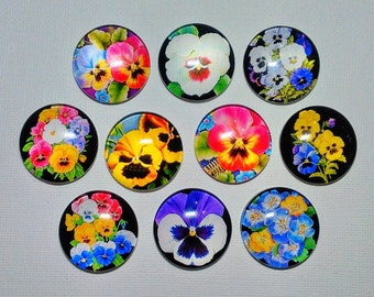 PANSY FLOWERS MAGNET Set of Ten One Inch Round Glass Dome Birthday Mom Grandma Friend Relative Thanks The Friendliest Flower!