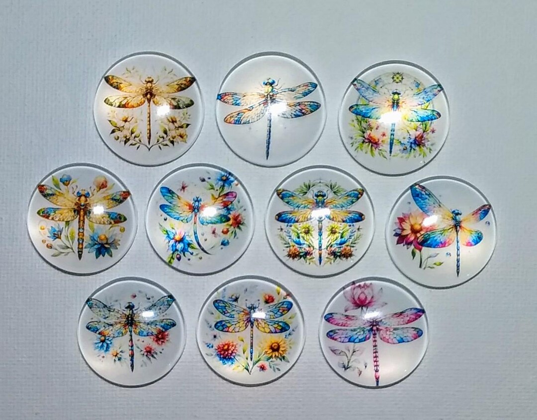 DRAGONFLY MAGNET Set of Ten One Inch Round Glass Dome *soft and Bright ...