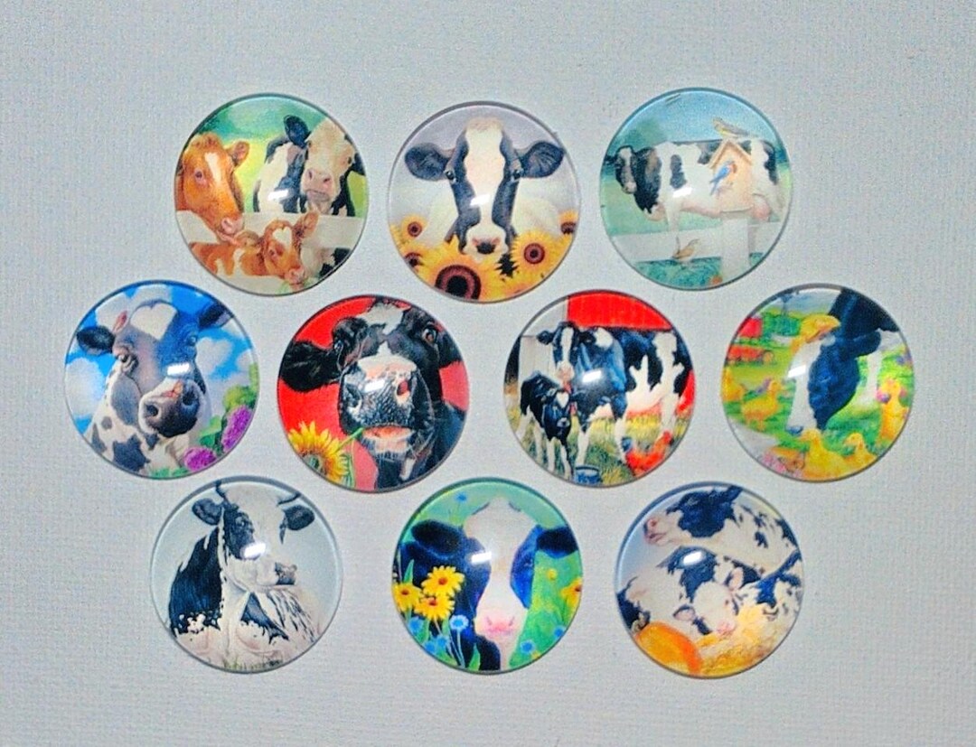 COWS Just Being COWS! Magnet Set of 10 One Inch Round Glass Dome - Etsy