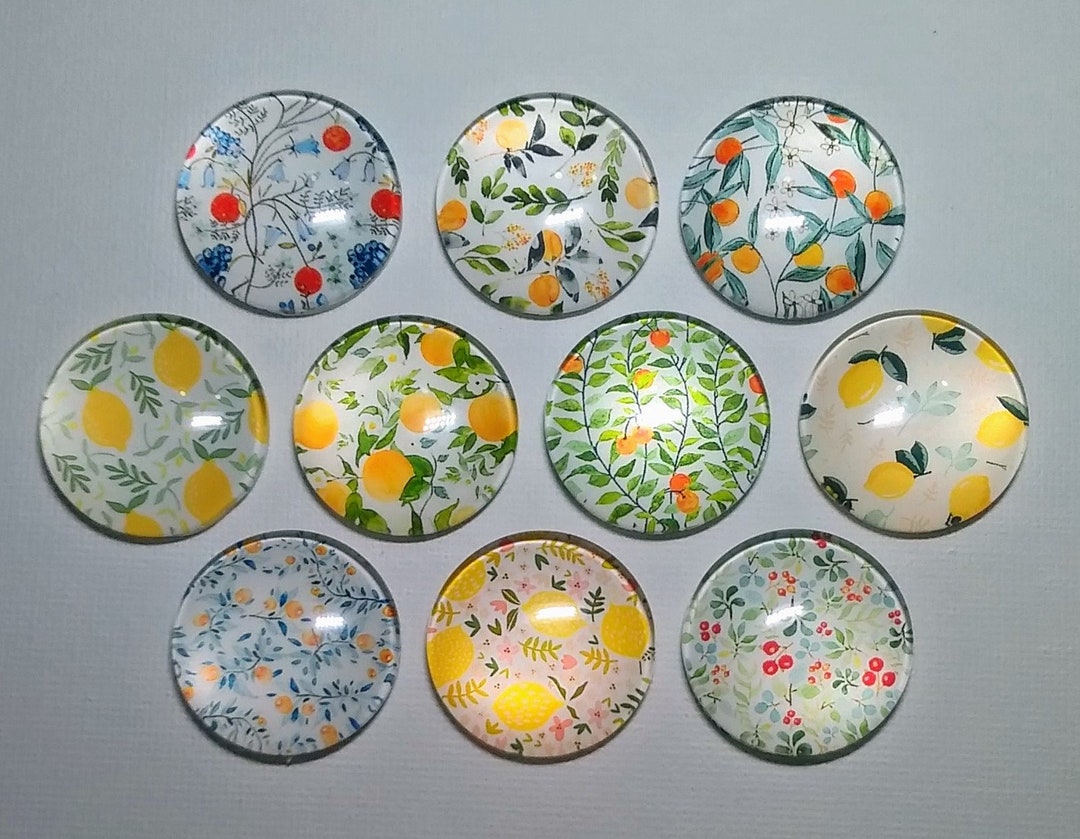 CITRUS FRUITS MAGNETS Set of 10 One Inch Round Glass Dome Lemon Lover ...