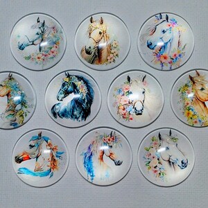 SoFT WATERCOLOR HORSES MaGNET Set of 10 One Inch Round Glass Dome ** HoRsE LoVeR Birthday Mom Grandma Relative Friend Thanks