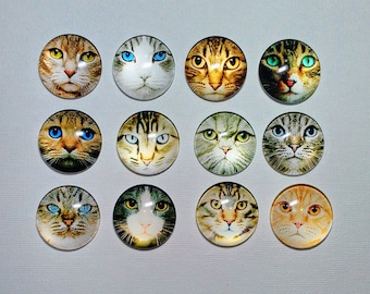 May include: Twelve round glass cabochons with images of cats with different colored eyes and fur patterns. The cabochons are approximately 1 inch in diameter.