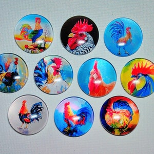 ROOSTERS MAGNET SET of 10 One Inch Round Glass Dome Farm Love Holiday Gift Birthday Thanks *Poultry Chicken Love*