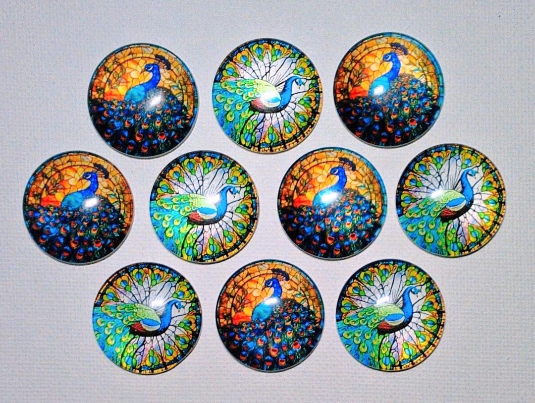 PEACOCK Magnets Set of Ten One Inch Round Glass Dome *five of Each ...