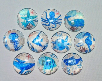 OCEAN SEA LIFE Magnets Set of 10 One Inch Round Glass Dome Gift *Starfish Seahorse Fish Sea Turtle*