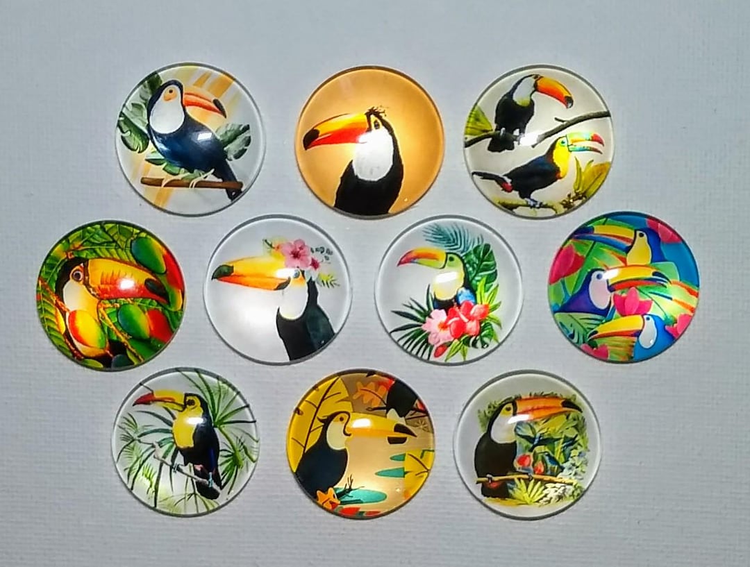 TOUCANS MAGNET Set of 10 One Inch Round Glass Dome - Etsy
