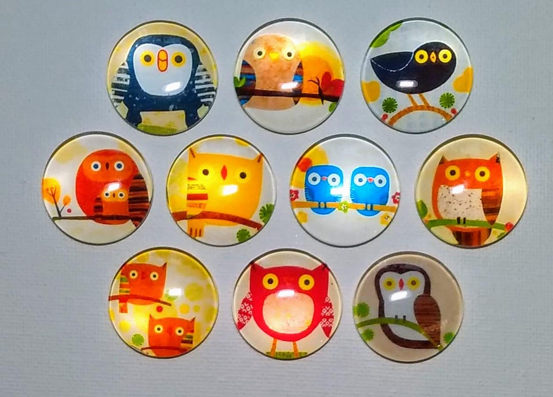 OWLS MAGNET Set of 10 One Inch Round Glass Dome - Etsy