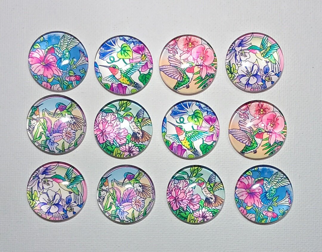 HUMMINGBIRD Magnet Set of Twelve One Inch Round Glass Dome *two of Each ...