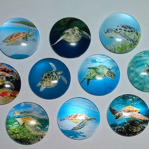 SeA TuRTLES OCEAN SEA LIFE Magnets Set of 10 One Inch Round Glass Dome Gift Mom Relative Friend Birthday Beach House *Great Holiday Gift*
