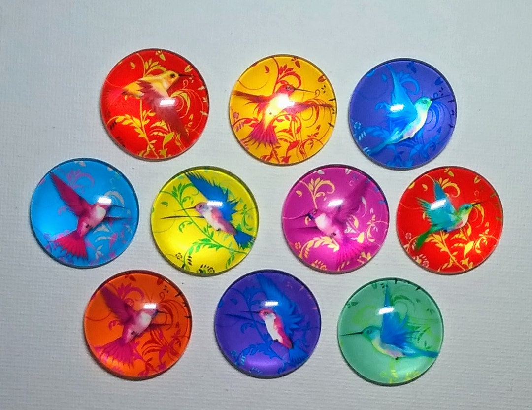 HUMMINGBIRDS Magnet Set of Ten One Inch Round Glass Dome - Etsy