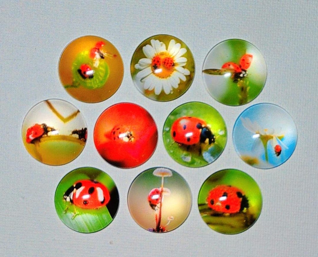 LADYBUG MAGNET SET of 10 One Inch Round Glass Dome *ladybugs Just Being ...